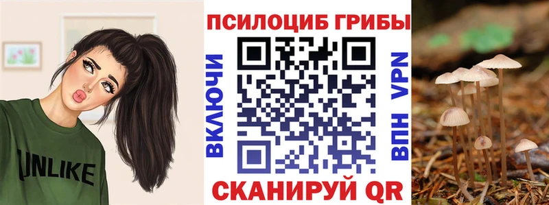 мега зеркало  Большой Камень  Галлюциногенные грибы ЛСД 