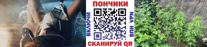 Бошки Шишки THC 21%  где продают наркотики  Большой Камень 